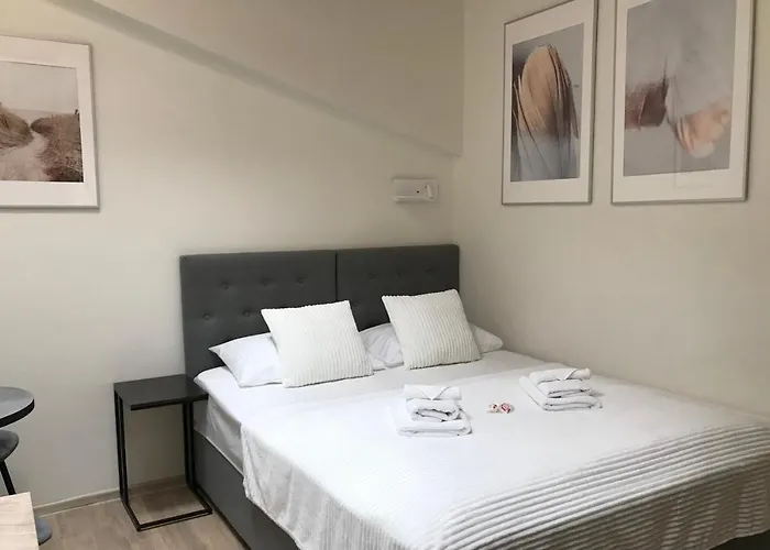 Lt Mini Studio